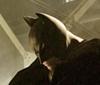BATMAN BEGINS - Film roku se blíží do kin!